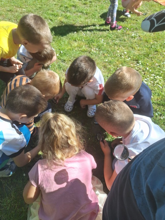Dzieci szukają owadów na łące